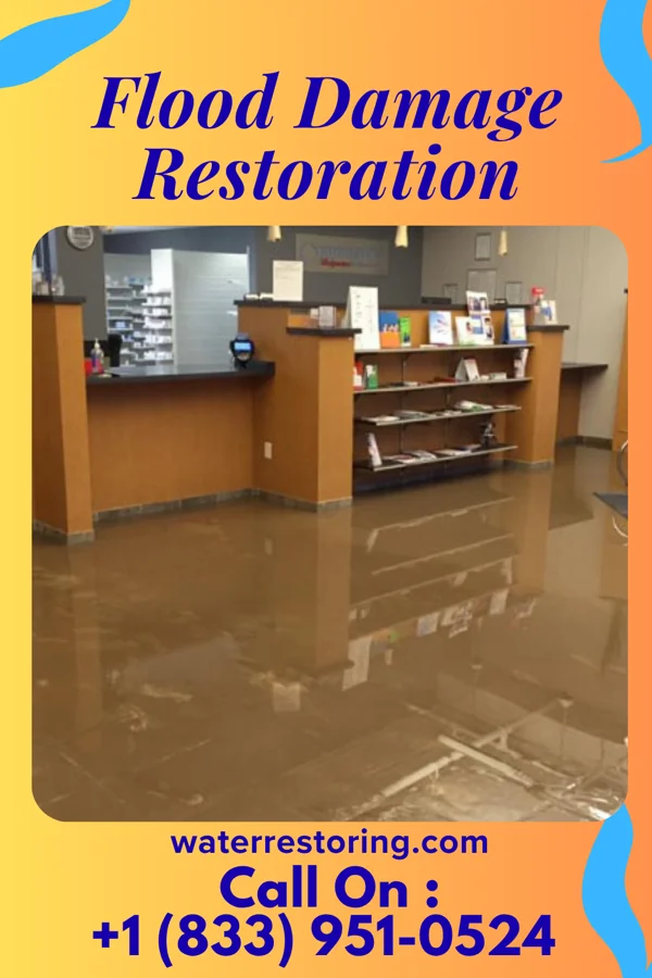Flood Damage Restoration in Prathersville, MO