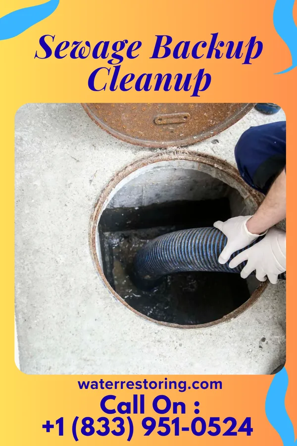 Sewage Backup Cleanup in Prathersville, MO