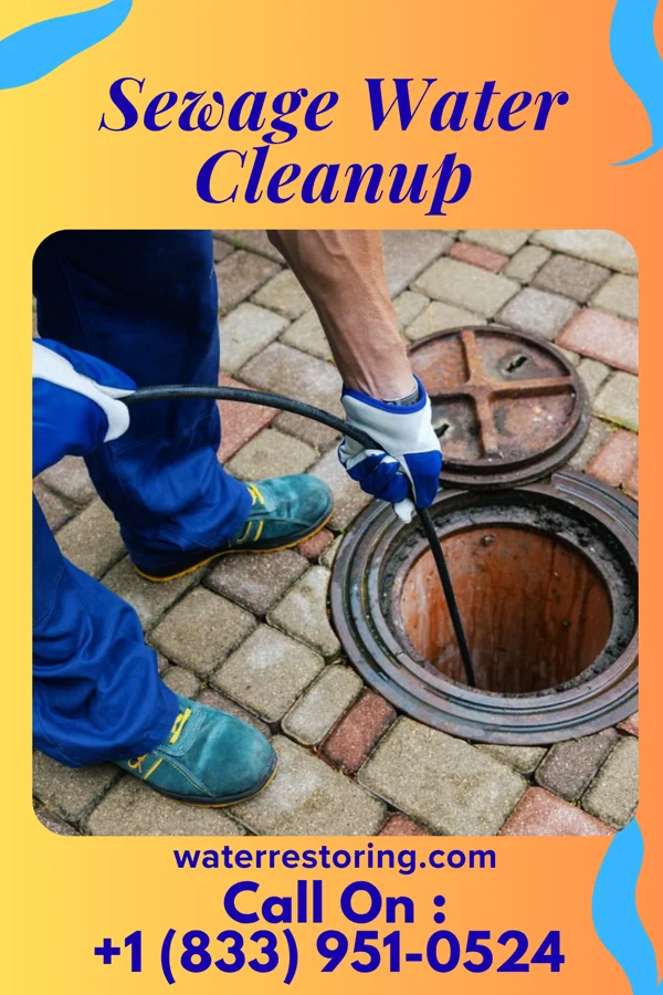 Sewage Water Cleanup in Prathersville, MO